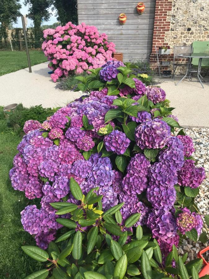 La Grange Aux Hortensias Thiergeville Экстерьер фото